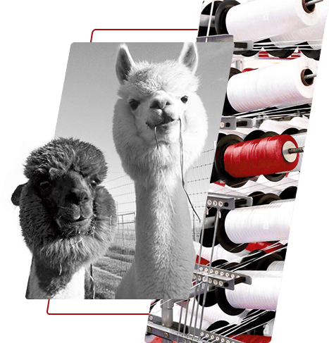 Snáth poileistir daite